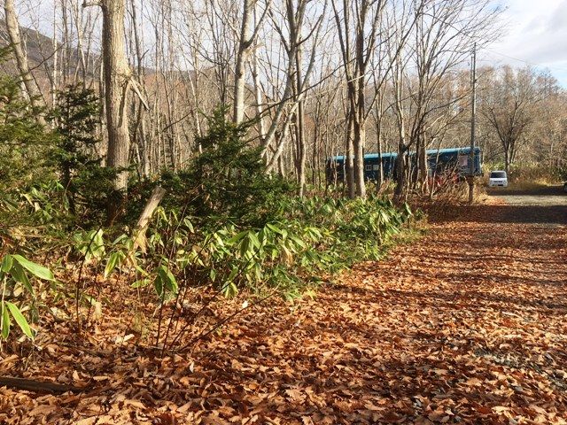 Land for Sale in Niseko - 658 sqm Plot Near Niseko Village Ski Resort - Thumbnail 3