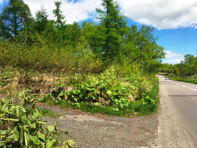 Land for Sale in Niseko - 339sqm Plot Near Annupuri Ski Resort - Thumbnail 3