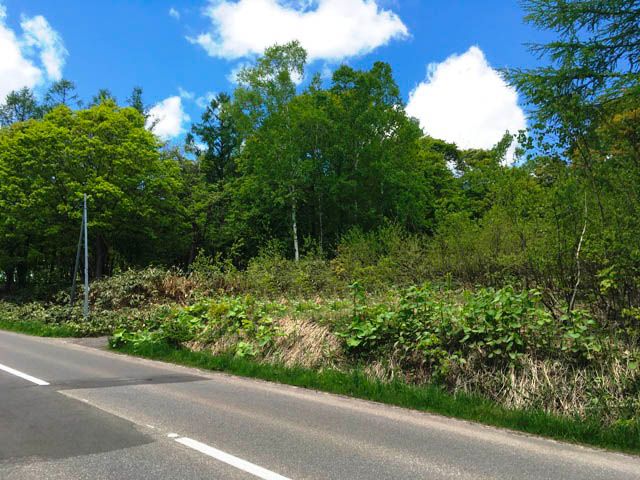 Land for Sale in Niseko - 339sqm Plot Near Annupuri Ski Resort - Thumbnail 2