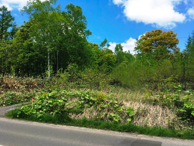 Land for Sale in Niseko - 339sqm Plot Near Annupuri Ski Resort - Thumbnail 4