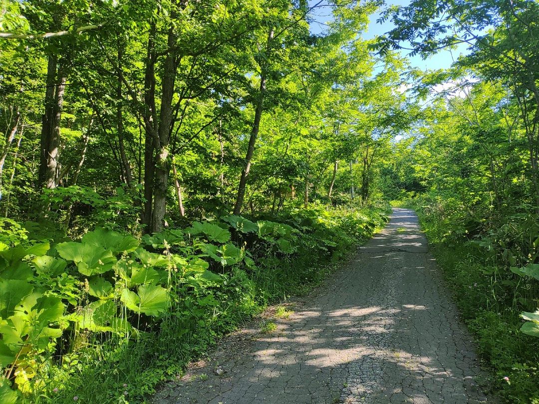 HighGrade Villa Yuri 204 Land for Sale in Rankoshi, Hokkaido - Thumbnail 2