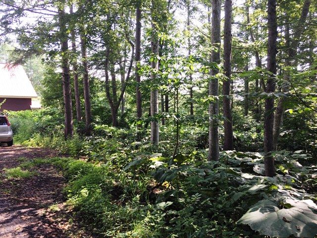 HighGrade Villa Yuri 122 Land for Sale in Niseko, Hokkaido - Thumbnail 3