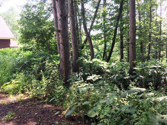 HighGrade Villa Yuri 122 Land for Sale in Niseko, Hokkaido - Thumbnail 2
