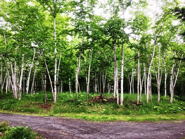 Rotary Round Land Kondo 380 for Sale in Niseko, Hokkaido - Thumbnail 4