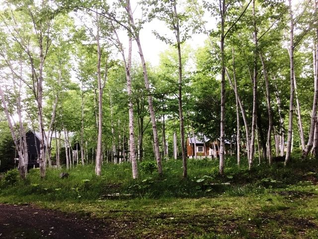 Rotary Round Land Kondo 380 for Sale in Niseko, Hokkaido - Thumbnail 2