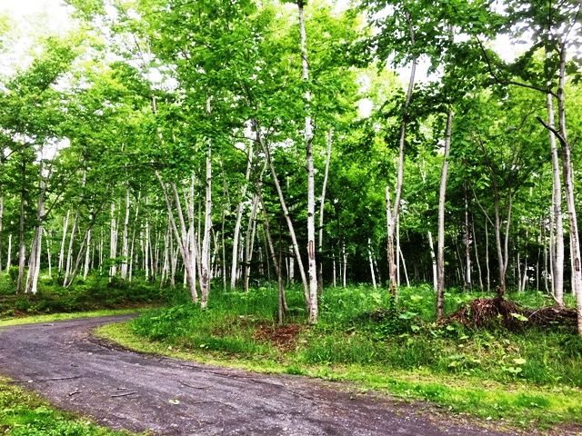 Rotary Round Land Kondo 380 for Sale in Niseko, Hokkaido - Thumbnail 3