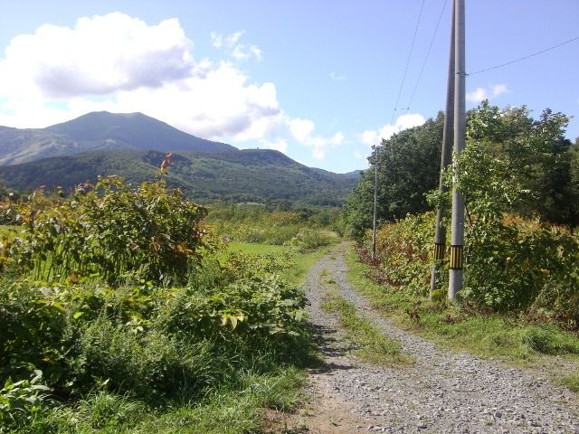 Land for Sale in Hirafu, Niseko with Panoramic Mountain Views - Thumbnail 4