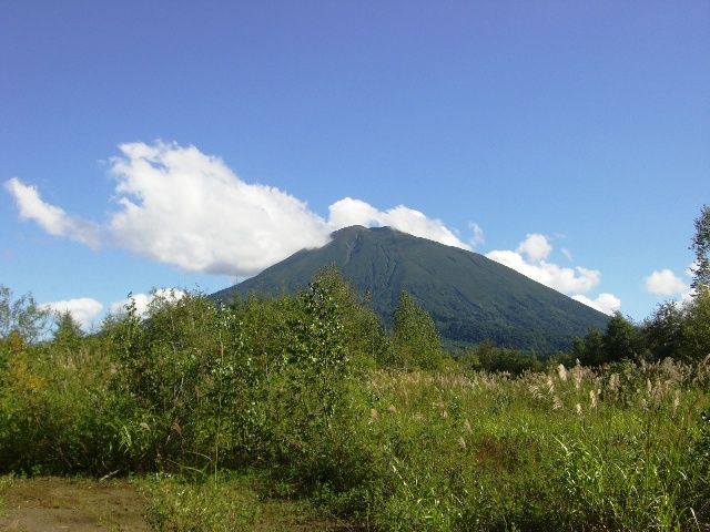 Land for Sale in Hirafu, Niseko with Panoramic Mountain Views - Thumbnail 3
