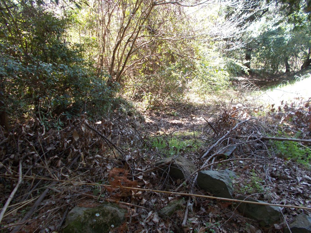 Land for Sale in Isahaya, Nagasaki - 5,191 sqm - Thumbnail 4