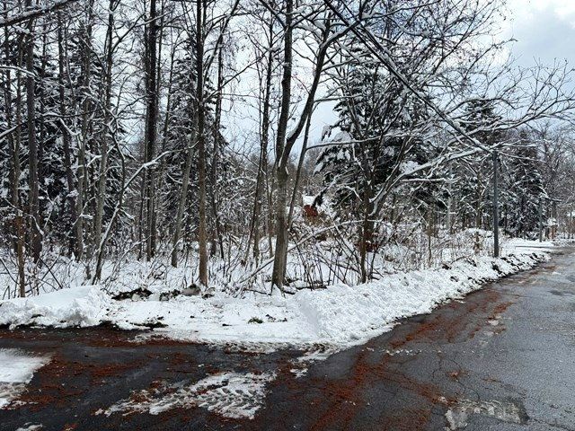 Land for Sale in Niseko Yuri - HighGrade Villa Plot 408sqm - Thumbnail 3