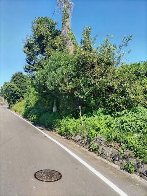 690 sqm Land for Sale in Isahaya, Nagasaki with Mountain Views - Thumbnail 2