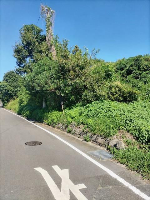 690 sqm Land for Sale in Isahaya, Nagasaki with Mountain Views - Thumbnail 3