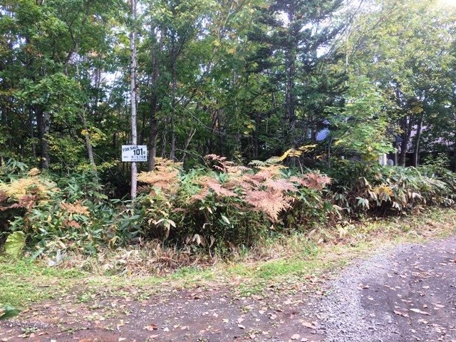 335 sqm Land for Sale in Niseko's Tranquil Villa District - Thumbnail 4