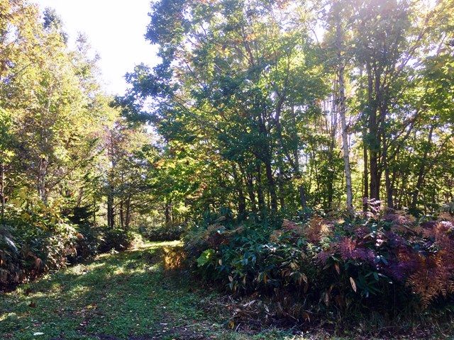 335 sqm Land for Sale in Niseko's Tranquil Villa District - Thumbnail 3