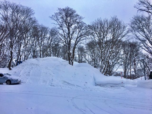 CornerLand Royal Town 139 Plot for Sale in Niseko, Hokkaido - Thumbnail 4