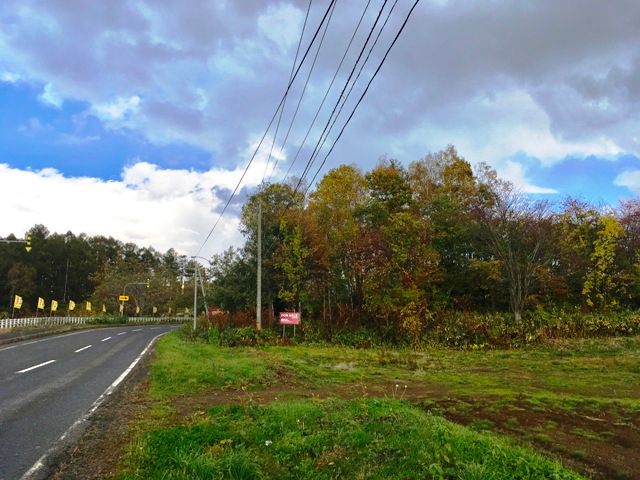 Foresthill Toyoka Land for Sale with Mount Yotei Views in Rusutsu - Thumbnail 4