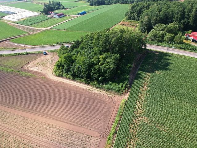 Foresthill Toyoka Land for Sale with Mount Yotei Views in Rusutsu - Thumbnail 2