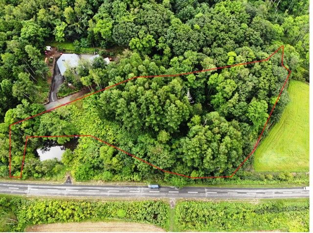Land for Sale in Niseko - 6,623 sqm Plot with Mountain Views - Thumbnail 4
