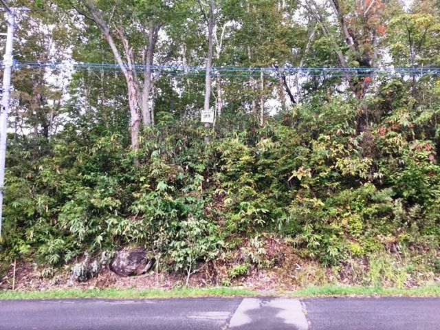 Land for Sale in Niseko's Doctor's Village - Silent Land 319 - Thumbnail 4