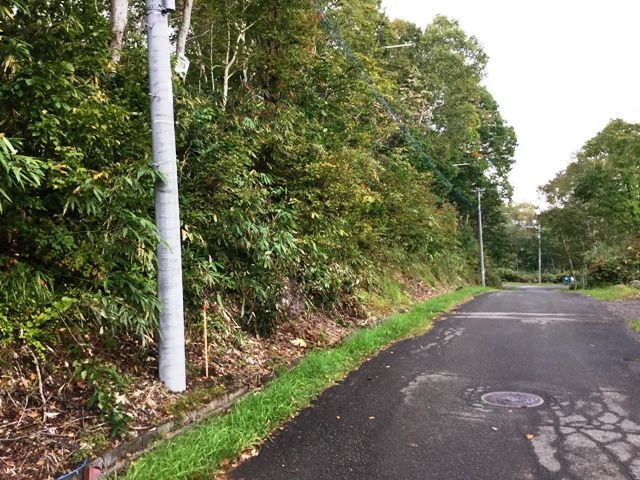 Land for Sale in Niseko's Doctor's Village - Silent Land 319 - Thumbnail 3