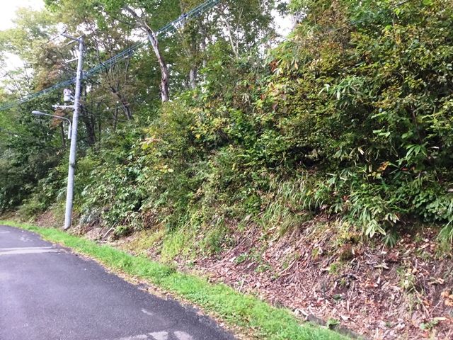 Land for Sale in Niseko's Doctor's Village - Silent Land 319 - Thumbnail 2