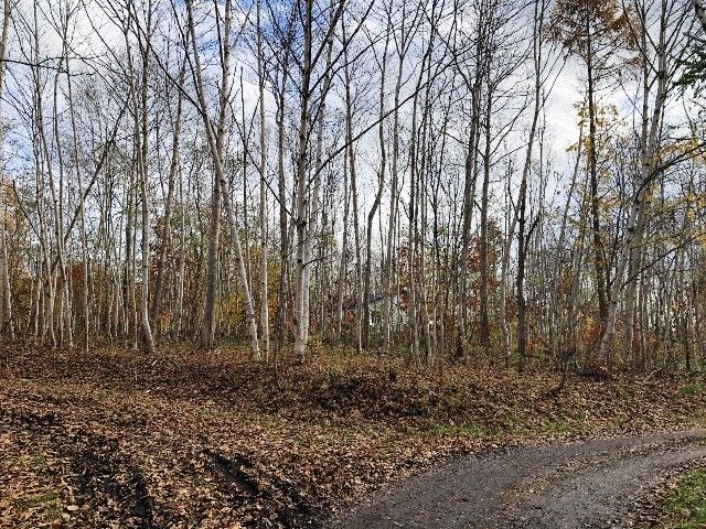 Silent Land Kondo 305 Plot for Sale in Niseko, Hokkaido - Thumbnail 2