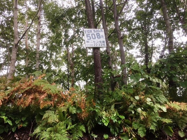 1,682 sqm Land for Sale in Niseko's Doctors Village, Hokkaido - Thumbnail 2