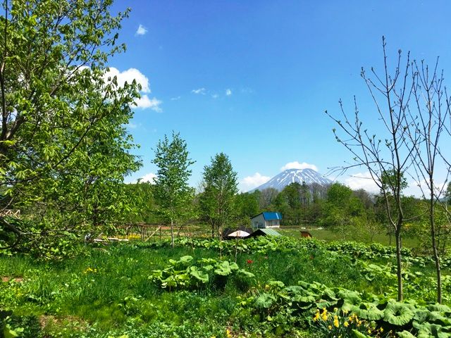 Land for Sale in Niseko with Panoramic Mountain Views - 748 sqm - Thumbnail 3