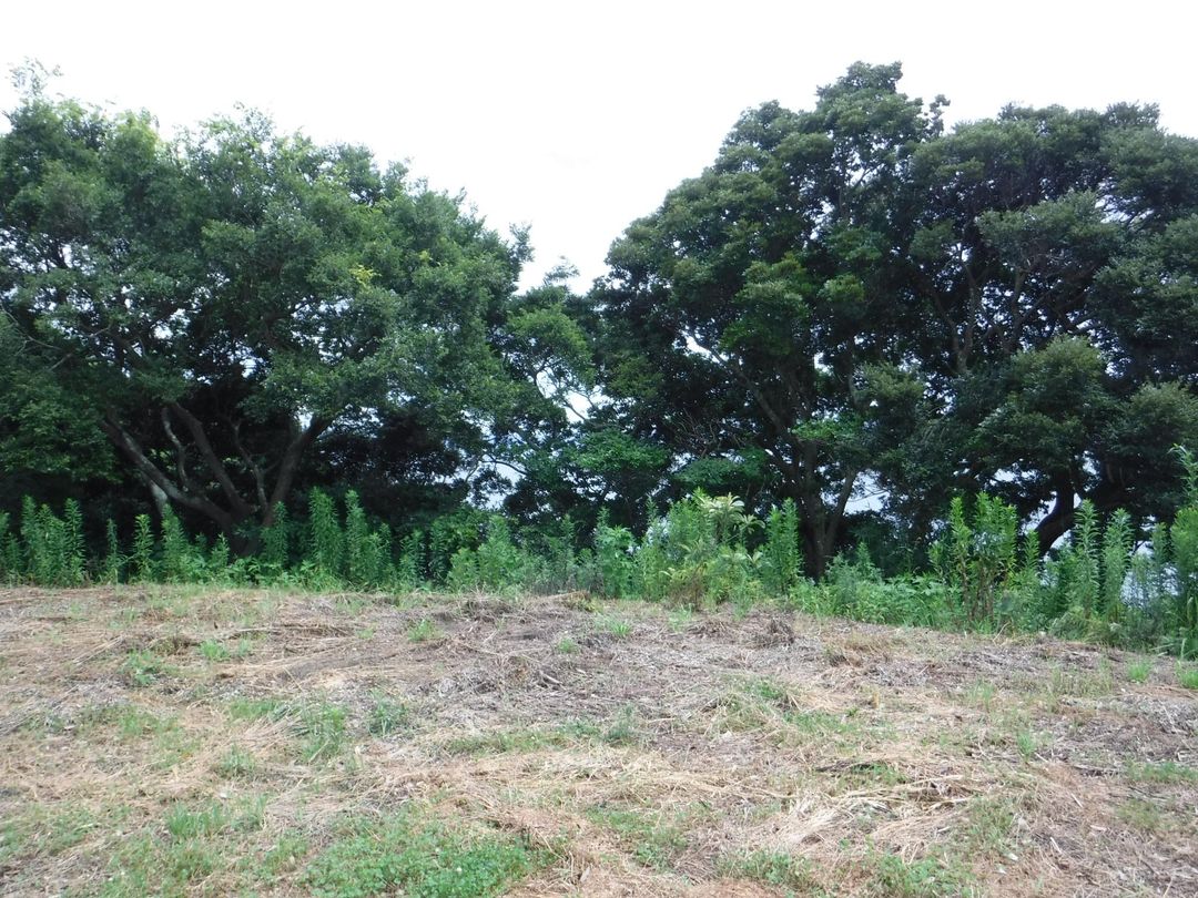Ocean-view land for sale in Isahaya, Nagasaki - Thumbnail 2