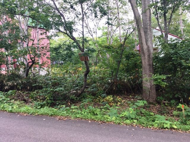 High-Grade Land Royal Town 150 Plot for Sale in Niseko, Hokkaido - Thumbnail 2