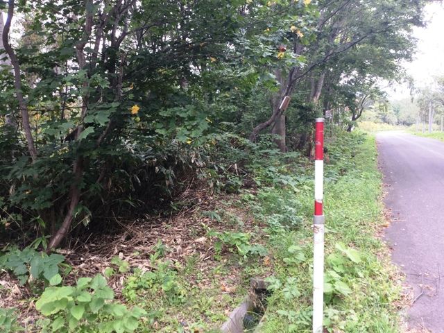 High-Grade Land Royal Town 150 Plot for Sale in Niseko, Hokkaido - Thumbnail 4