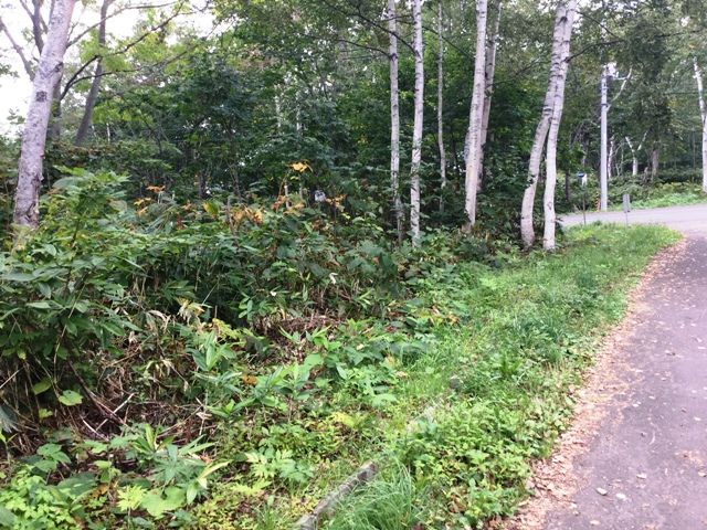 High-Grade Land Royal Town 150 Plot for Sale in Niseko, Hokkaido - Thumbnail 3