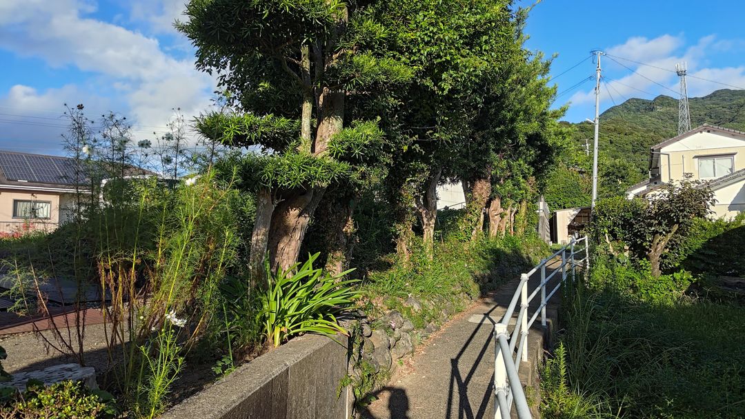 128.75 Tsubo Land for Sale in Sasebo, Nagasaki - Thumbnail 3