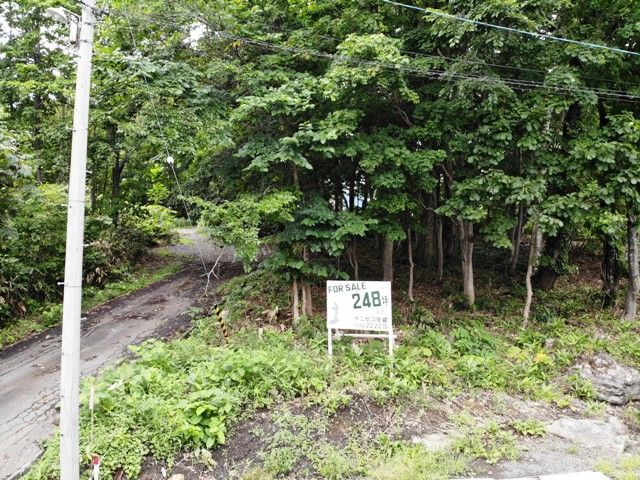 HighGrade Villa Land for Sale in Niseko with Mount Yotei Views - Thumbnail 4