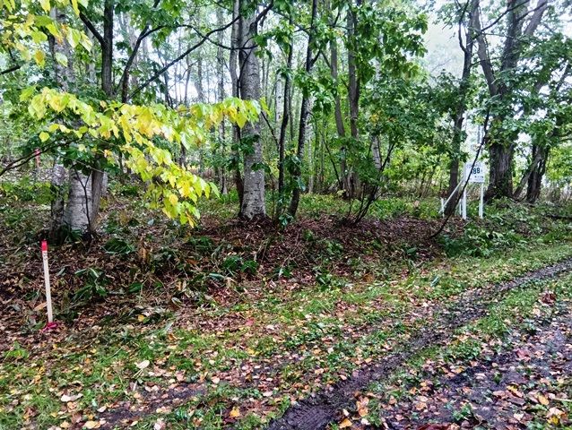 Land for Sale in Rankoshi, Niseko - HighGrade Villa Yuri 188 - Thumbnail 3