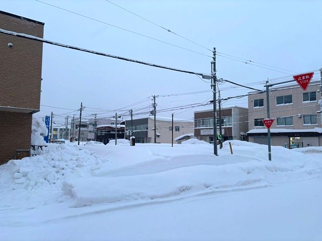 Prime Commercial Land for Sale in Central Kutchan, Hokkaido - Thumbnail 4