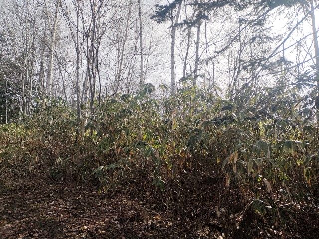 Land for Sale in DOCTORSVILLAGE Yurisato, Rankoshi, Hokkaido - Thumbnail 3