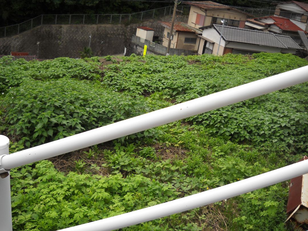 Vacant Land for Sale in Nagasaki City, Nagasaki Prefecture - Thumbnail 2