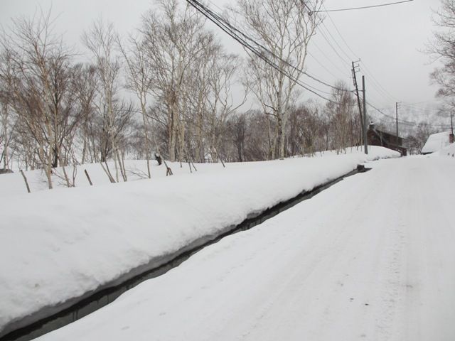 Land for Sale in Rankoshi with Onsen Access Near Niseko Ski Resorts - Thumbnail 3