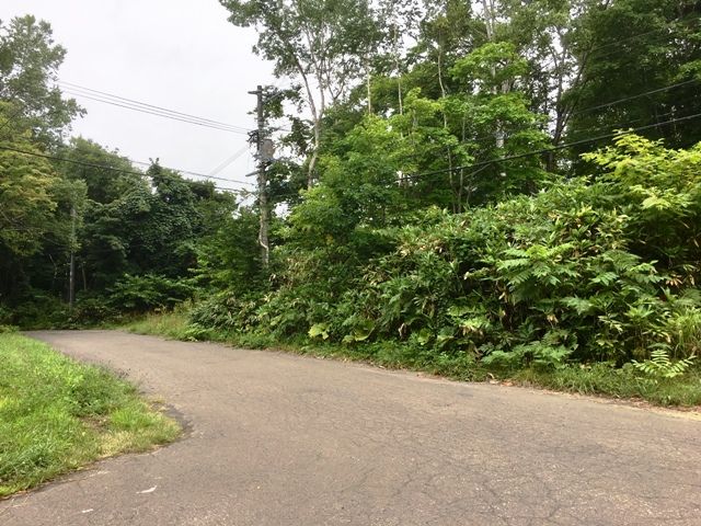 Land for Sale in Niseko's Yuri Hot Spring Area - HighGrade Villa - Thumbnail 2