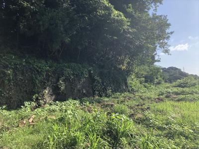 Property details for land for sale in Hiranomen, Sasa-machi, Kitamatsuura-gun, Nagasaki Prefecture (00276312) - Takken-kun Net Nagasaki — Land, Sasa, Nagasaki