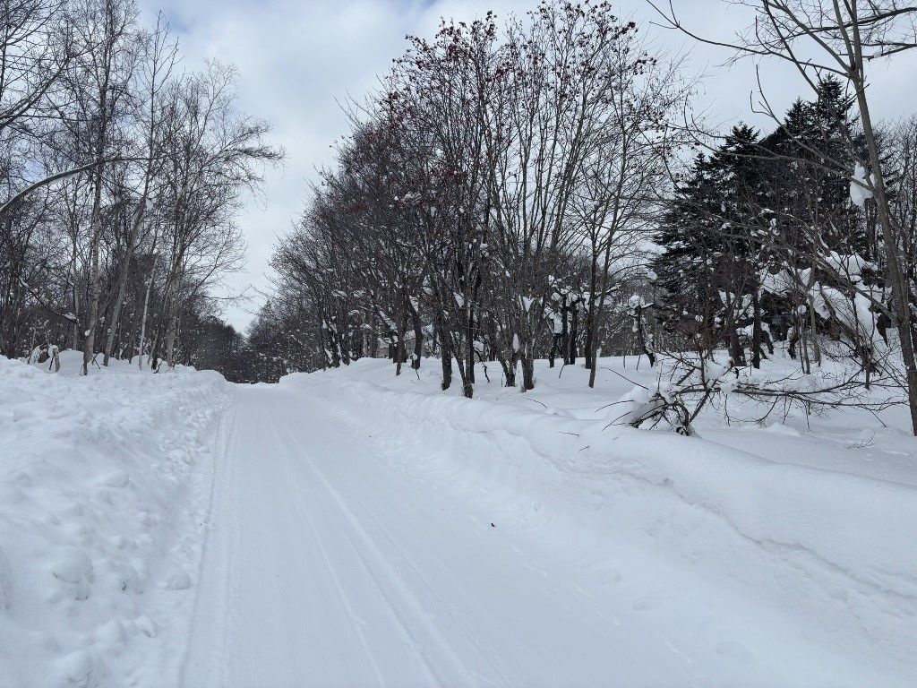 HighGrade Villa Yuri 197 Land for Sale in Niseko, Hokkaido - Thumbnail 2