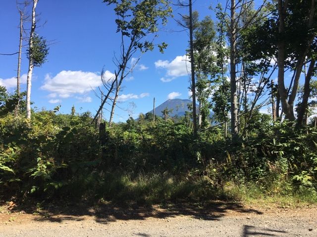 Land for Sale in Niseko with Mount Yotei View - 10,578 sqm - Thumbnail 2