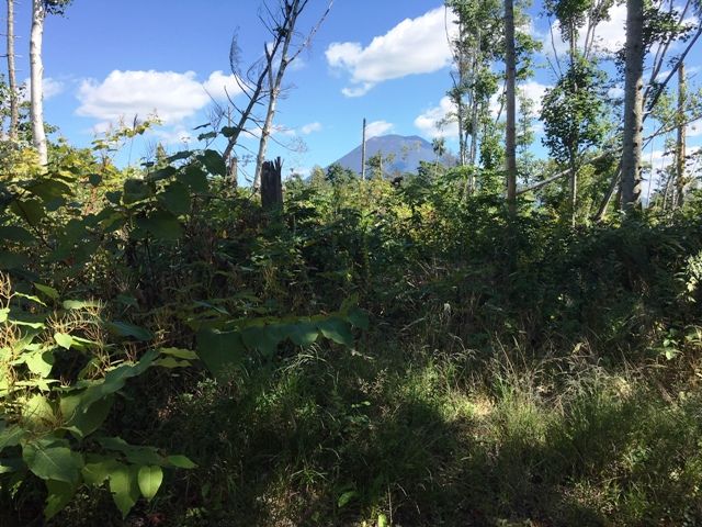 Land for Sale in Niseko with Mount Yotei View - 10,578 sqm - Thumbnail 3
