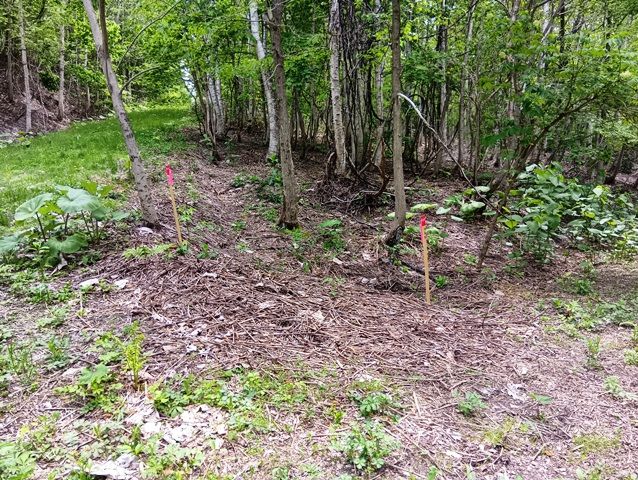 Land for Sale in Rankoshi Town, Hokkaido - 482 sqm - Thumbnail 2
