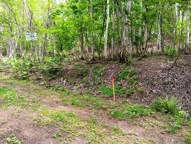 Land for Sale in Rankoshi Town, Hokkaido - 482 sqm - Thumbnail 3