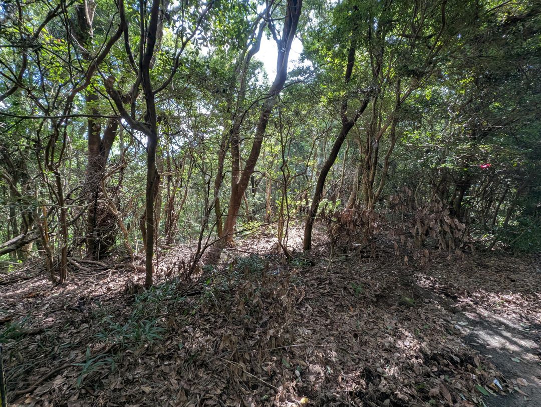 15,707 sqm Land for Sale in Isahaya, Nagasaki - Thumbnail 3