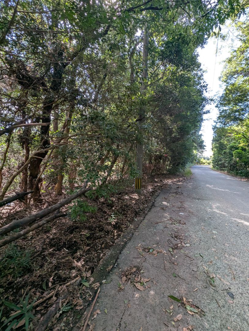 15,707 sqm Land for Sale in Isahaya, Nagasaki - Thumbnail 2