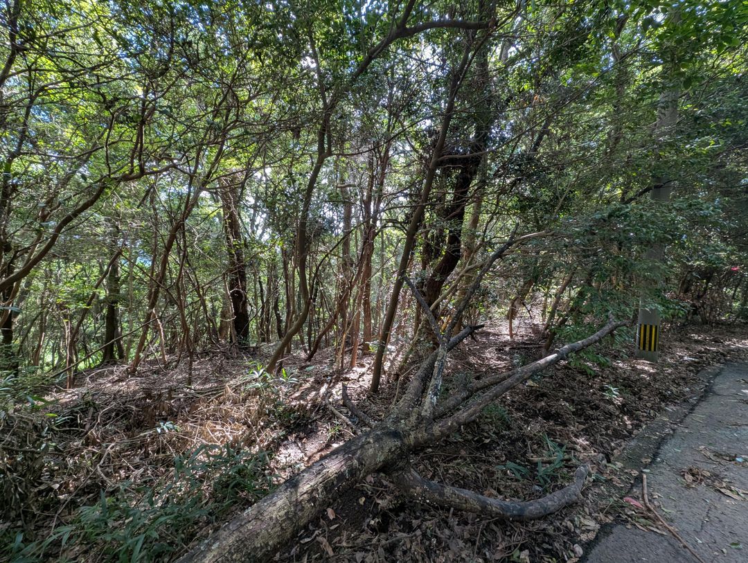 15,707 sqm Land for Sale in Isahaya, Nagasaki - Thumbnail 4