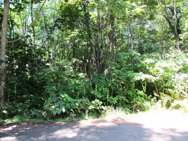Land for Sale in SilentLand Niseko Royal Town, Hokkaido - Thumbnail 2